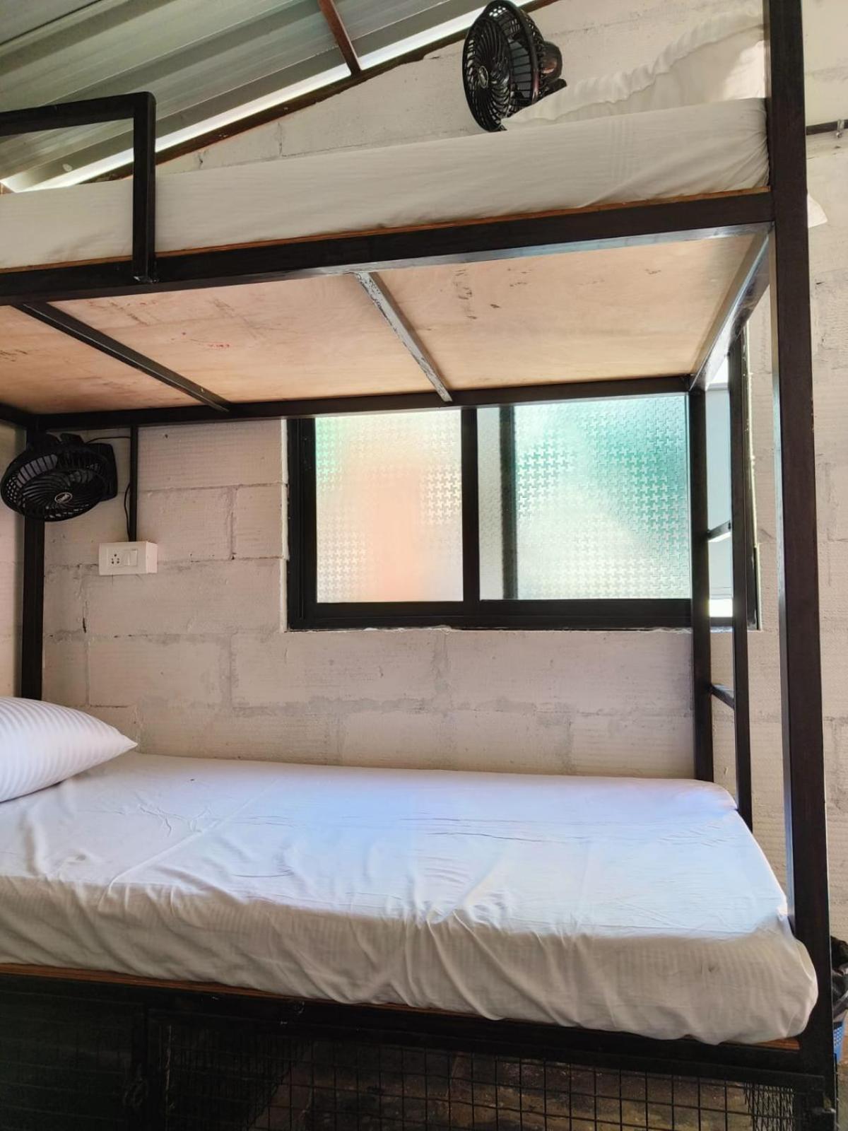 12 Monks - Beachside Hostel Arambol Bagian luar foto