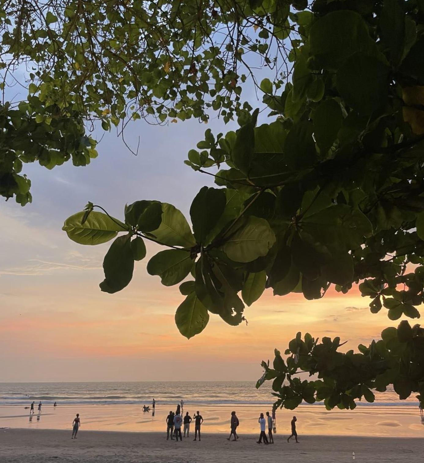 12 Monks - Beachside Hostel Arambol Bagian luar foto