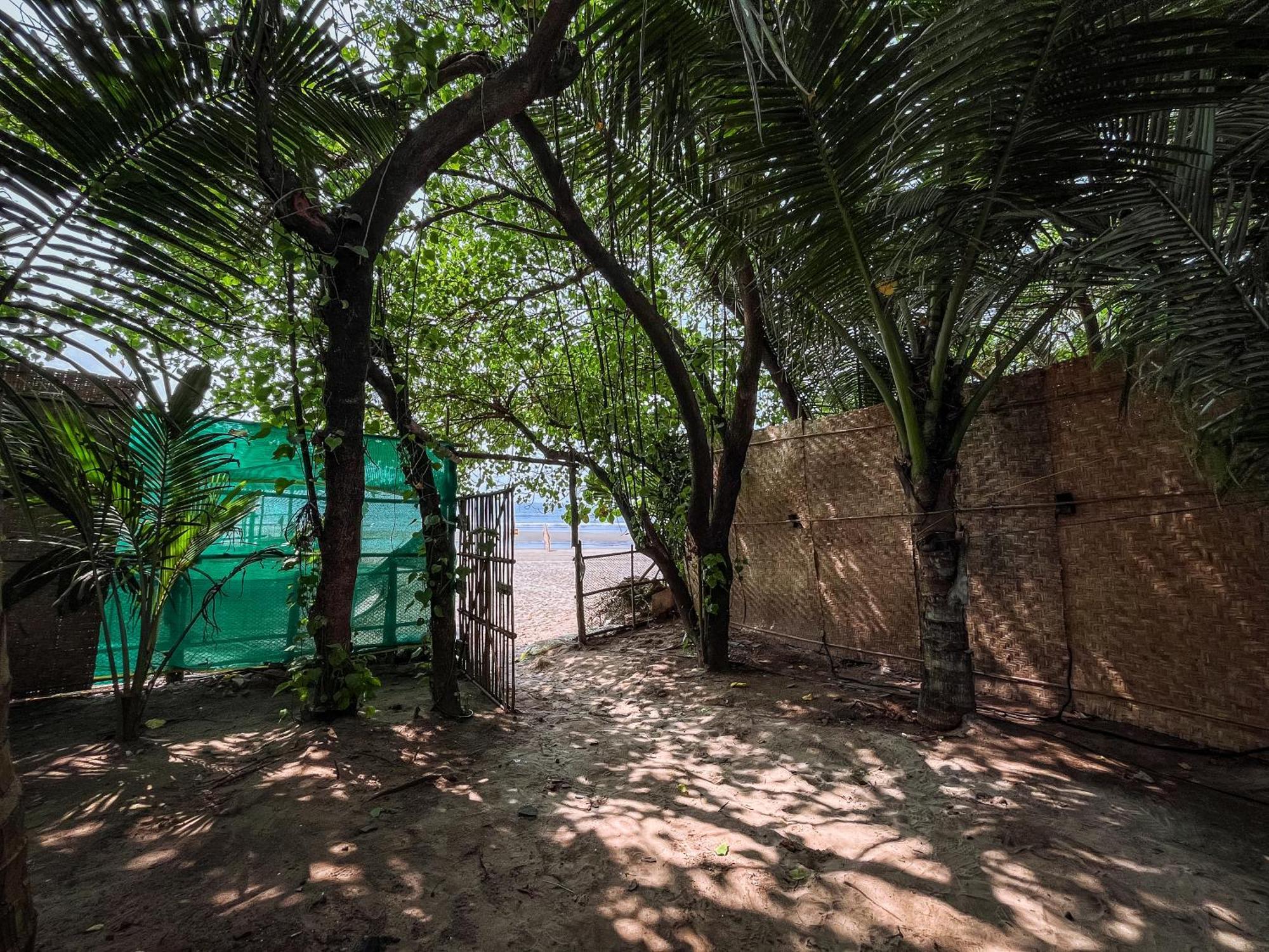 12 Monks - Beachside Hostel Arambol Bagian luar foto